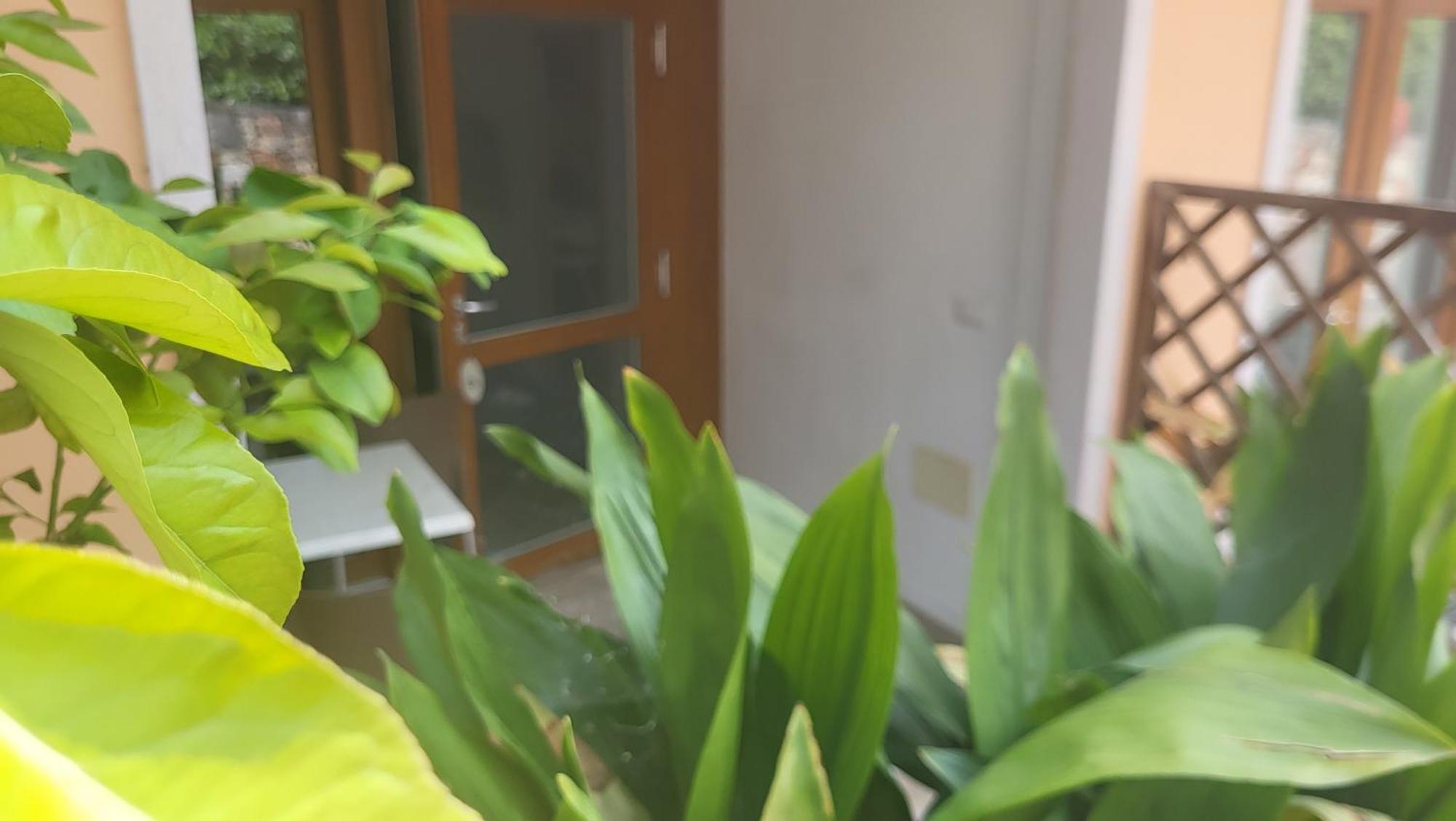 Residence Villa Margherita เบรนโซเน ซูล การ์ดา ภายนอก รูปภาพ