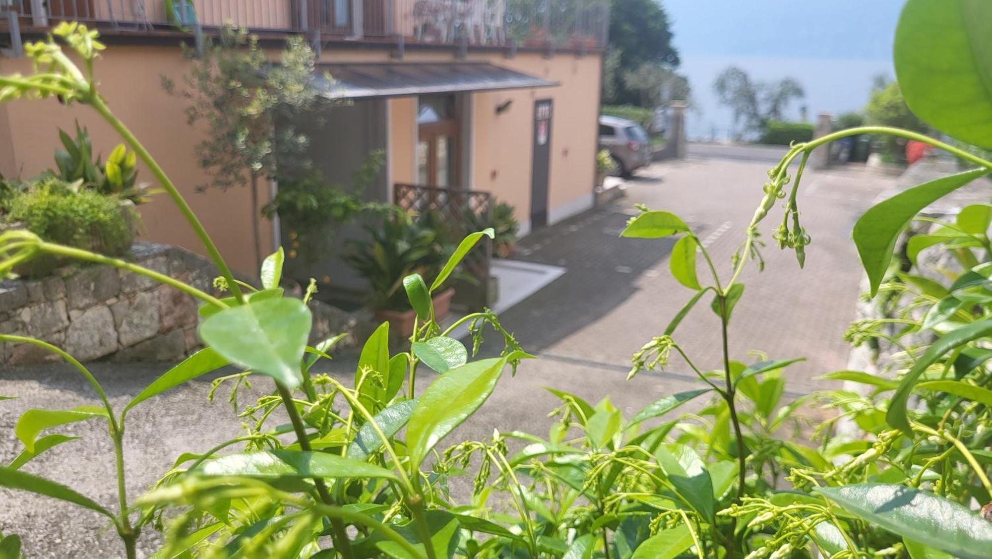 Residence Villa Margherita เบรนโซเน ซูล การ์ดา ภายนอก รูปภาพ